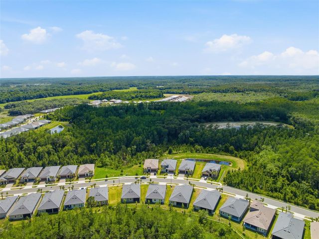 9776 MINNOW RAY DRIVE, Land O Lakes, FL 34638