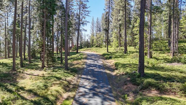 192 Vireo Way, Avery, CA 95224