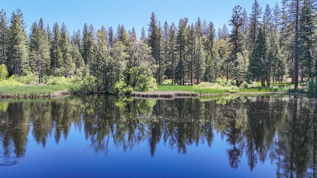 192 Vireo Way, Avery, CA 95224