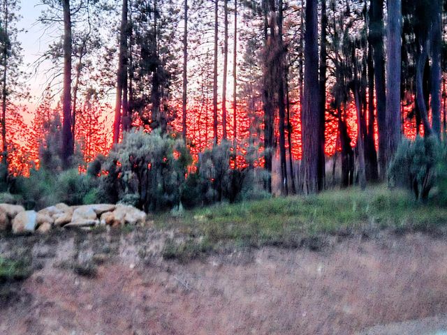 192 Vireo Way, Avery, CA 95224