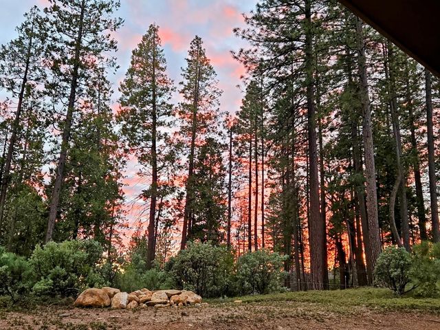 192 Vireo Way, Avery, CA 95224