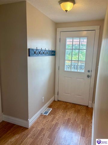 3137 St John Church Road, Rineyville, KY 40162