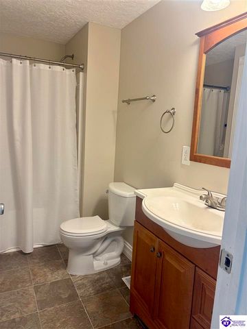 3137 St John Church Road, Rineyville, KY 40162