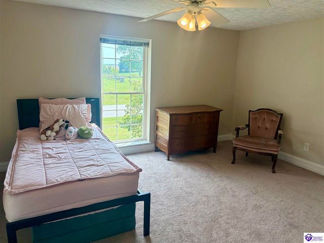 3137 St John Church Road, Rineyville, KY 40162