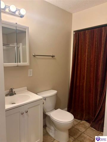 3137 St John Church Road, Rineyville, KY 40162