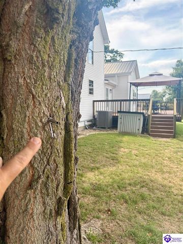 3137 St John Church Road, Rineyville, KY 40162