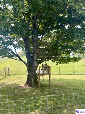 3137 St John Church Road, Rineyville, KY 40162