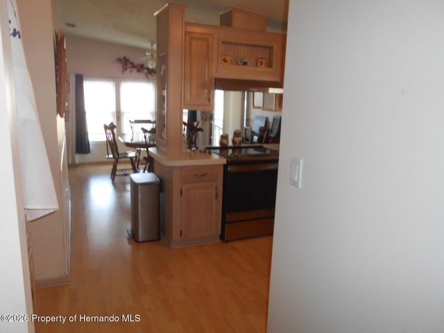 14131 Delsilver Drive, Brooksville, FL 34613