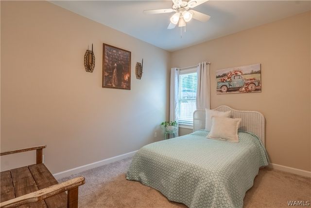 631 Camille, Tuscaloosa, AL 35405