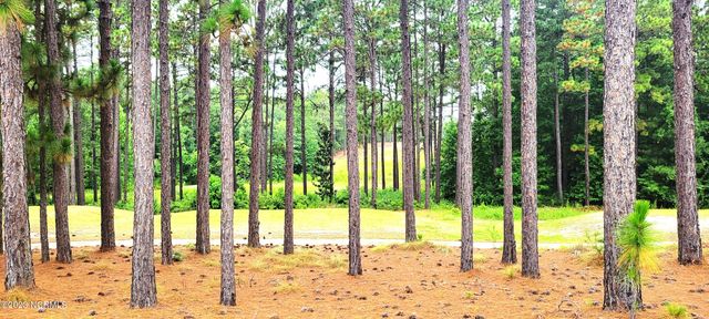 125 Mullingar Drive, Carthage, NC 28327