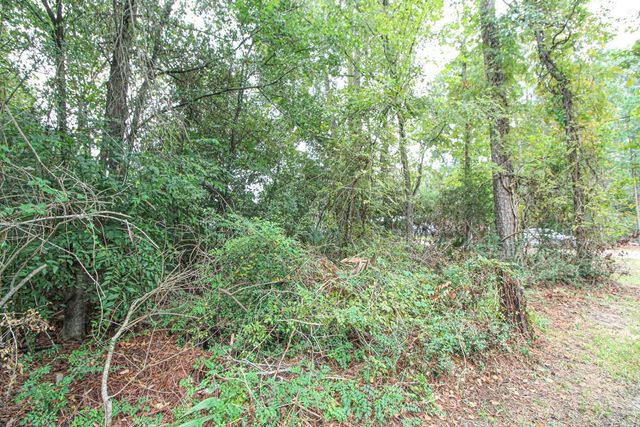 345 Cherokee Lane, Onalaska, TX 77360