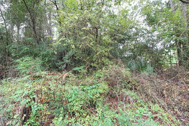 345 Cherokee Lane, Onalaska, TX 77360