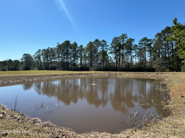 324 The Cove Lane NE, Leland, NC 28451