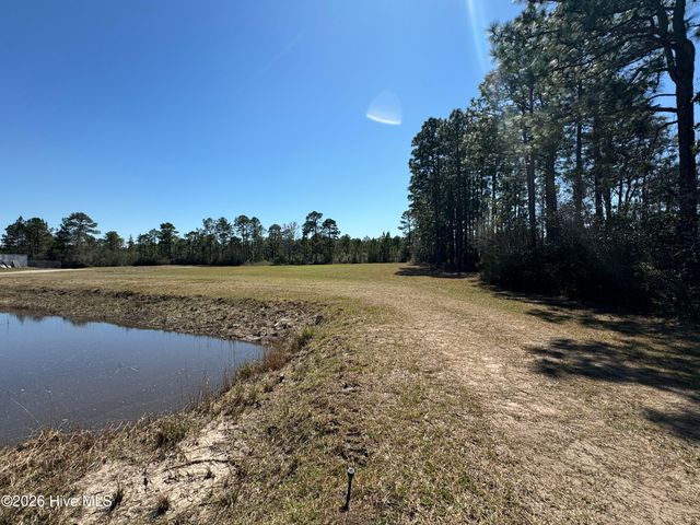324 The Cove Lane NE, Leland, NC 28451