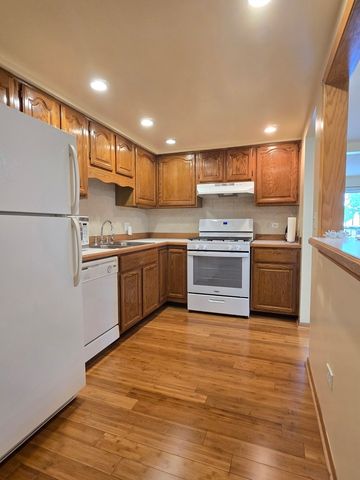 1365 Ashland Avenue 204, Des Plaines, IL 60016