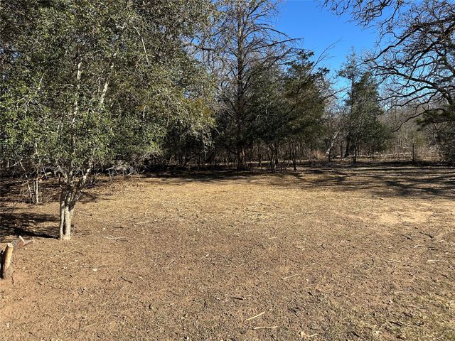 438 Mount Olive RD A, Cedar Creek, TX 78612