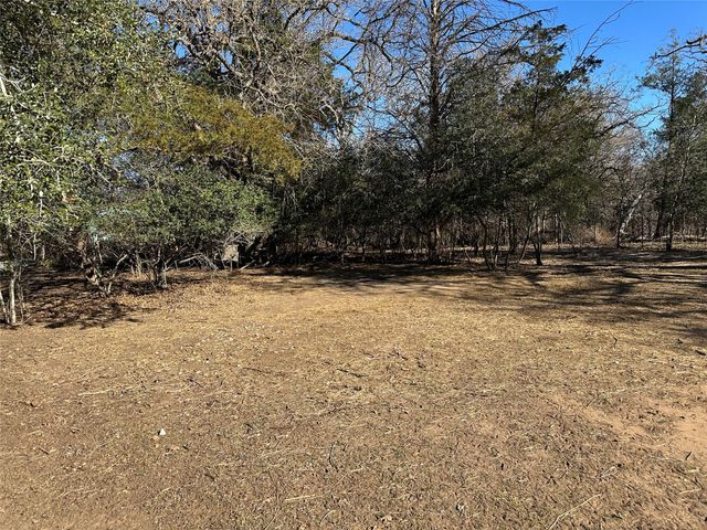 438 Mount Olive RD A, Cedar Creek, TX 78612