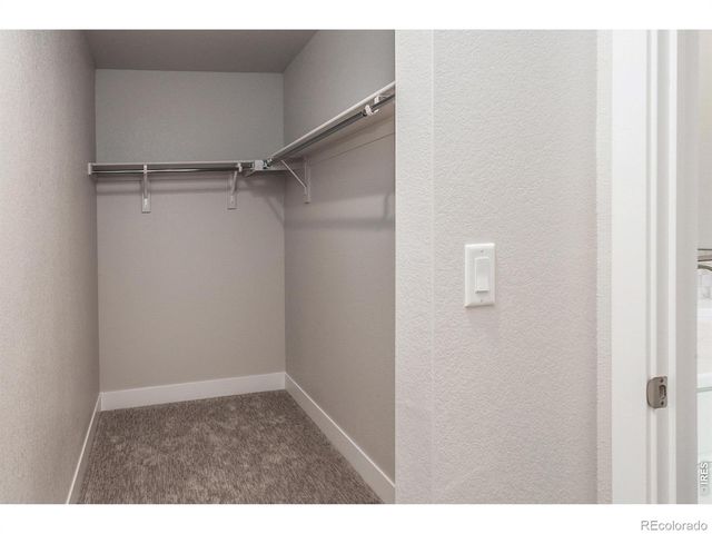 4751 Degas Drive, Loveland, CO 80538