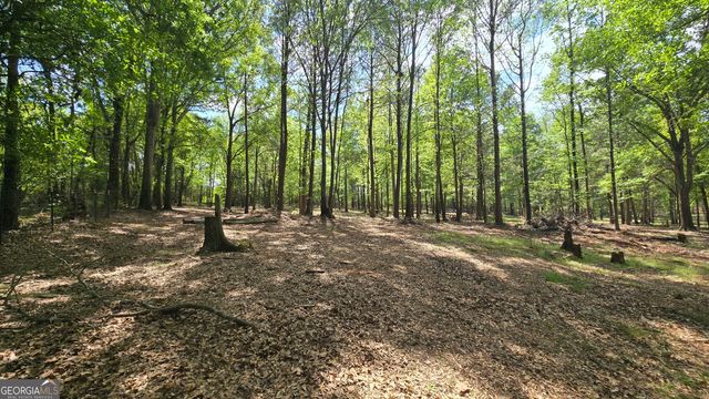 213 Duncan Swindle Road, Commerce, GA 30530