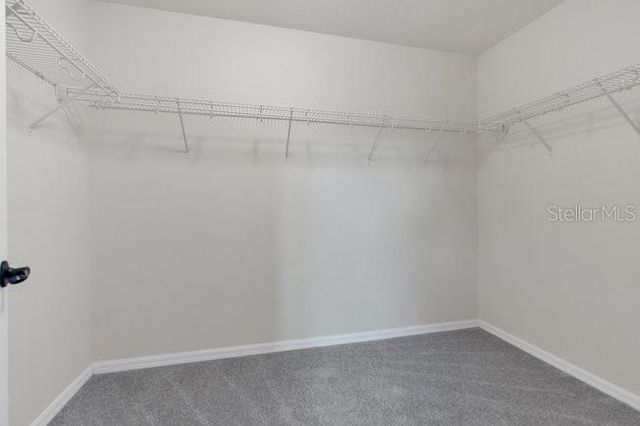 8626 CRESCENDO AVENUE, Windermere, FL 34786