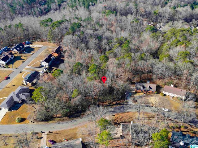 1024 TIMBERLINE TRAIL, Birmingham, AL 35215