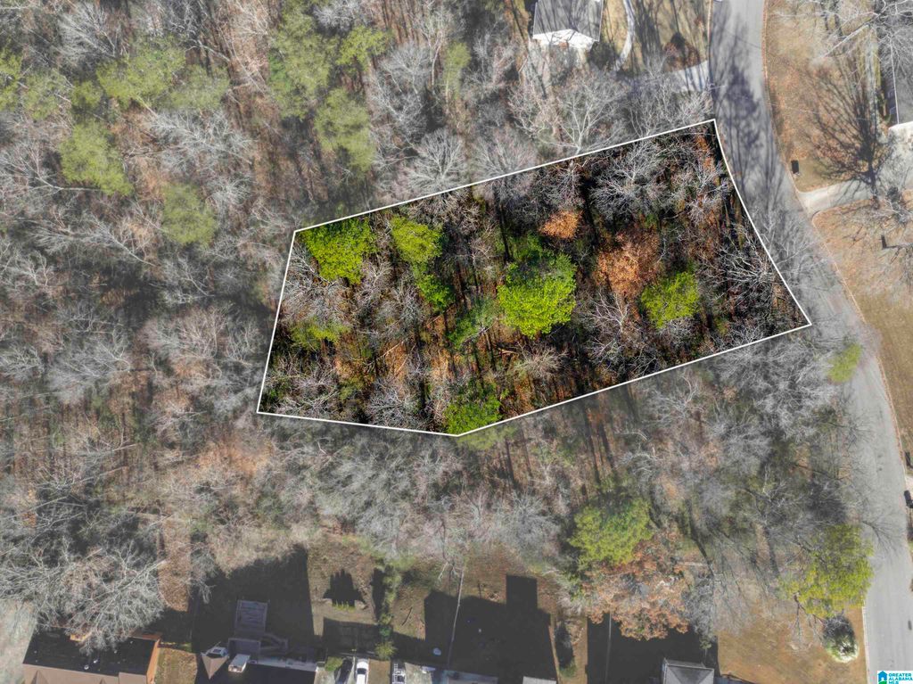 1024 TIMBERLINE TRAIL, Birmingham, AL 35215