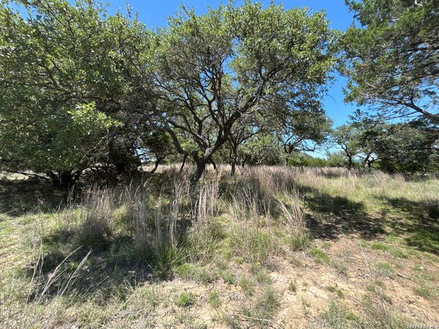 LOT 103 Majestic Hills Drive, Blanco, TX 78606