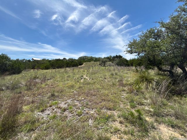LOT 103 Majestic Hills Drive, Blanco, TX 78606