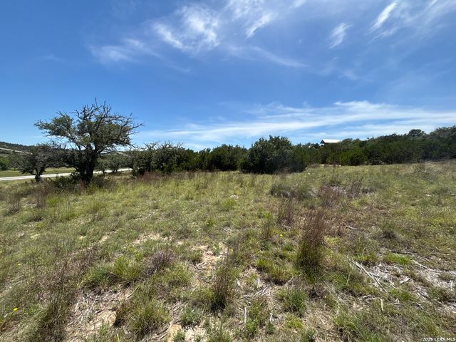 LOT 103 Majestic Hills Drive, Blanco, TX 78606