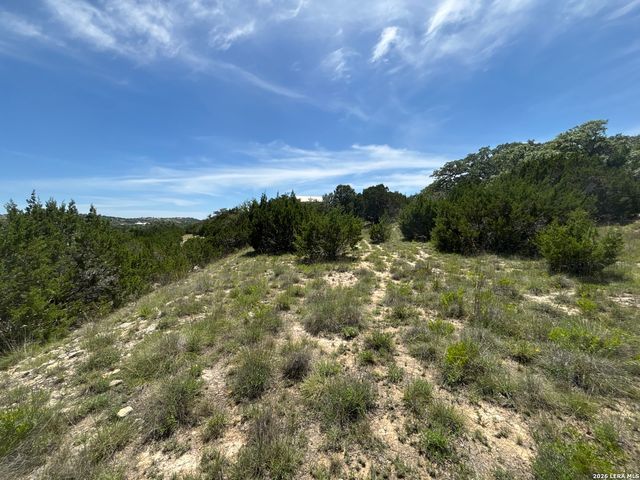 LOT 103 Majestic Hills Drive, Blanco, TX 78606