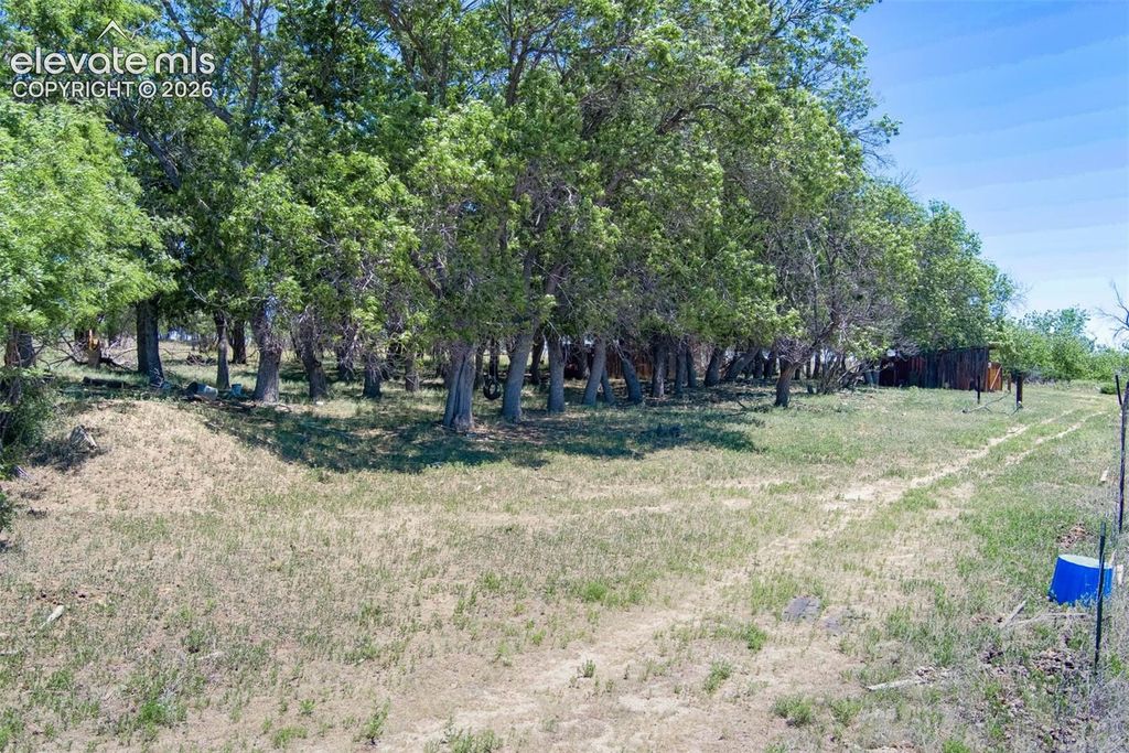5250 Meridian Road, Colorado Springs, CO 80831 — photo 3
