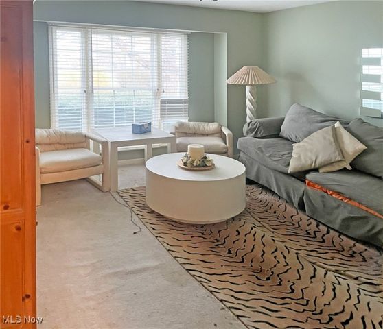 311 E 293rd Street, Willowick, OH 44095