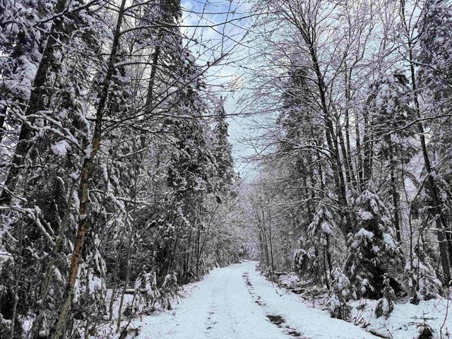 3563 East Branch Road, Averill, VT 05901