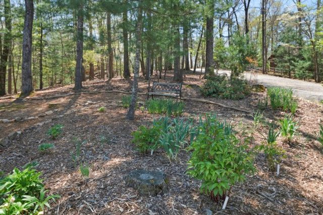 86 Armor Way N, Ellijay, GA 30540