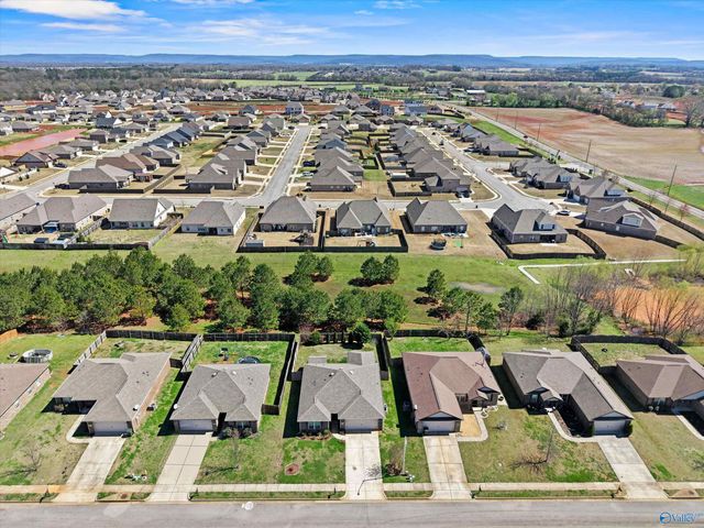 113 Walkers Hill Road, Meridianville, AL 35759