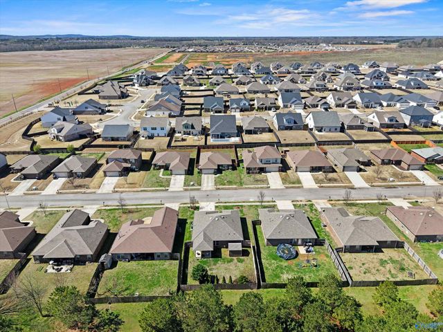 113 Walkers Hill Road, Meridianville, AL 35759