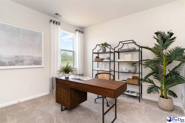 209 Bluff View Lane, Florence, SC 29505