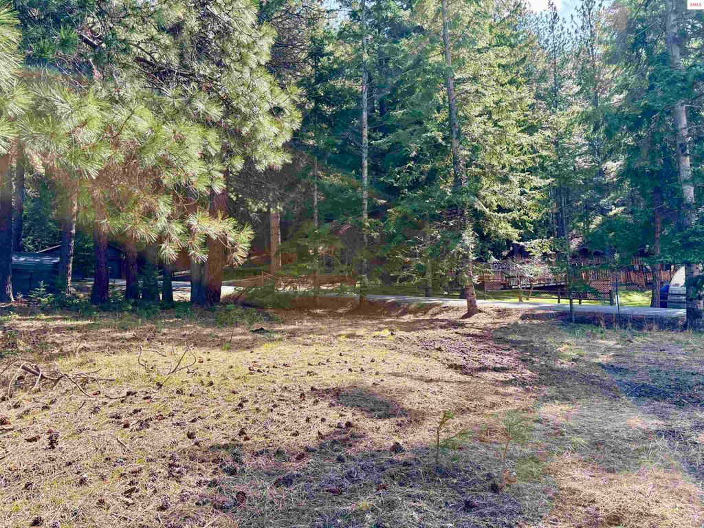 NNA Tannebaum, Bonners Ferry, ID 83805 photo 2
