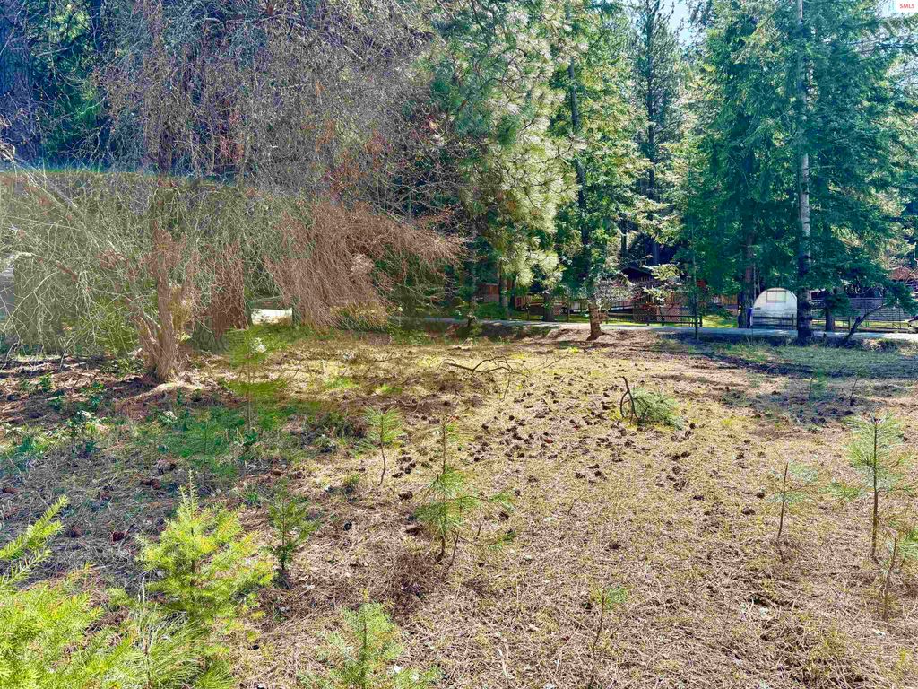 NNA Tannebaum, Bonners Ferry, ID 83805 photo 3