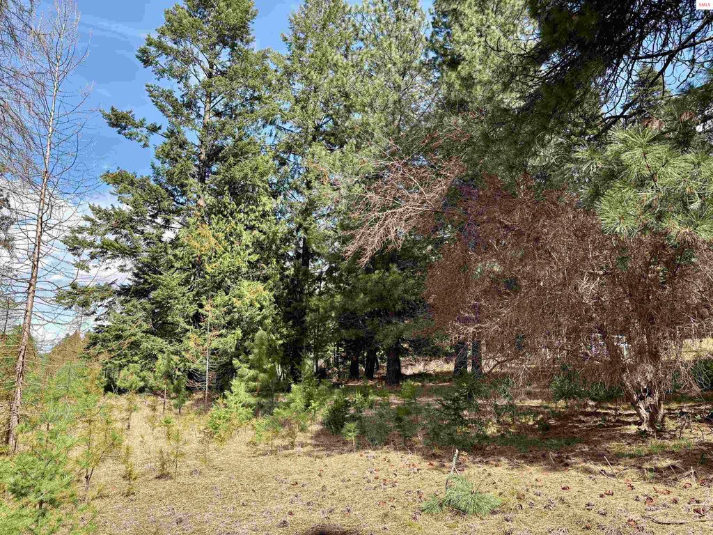 NNA Tannebaum, Bonners Ferry, ID 83805 photo 4