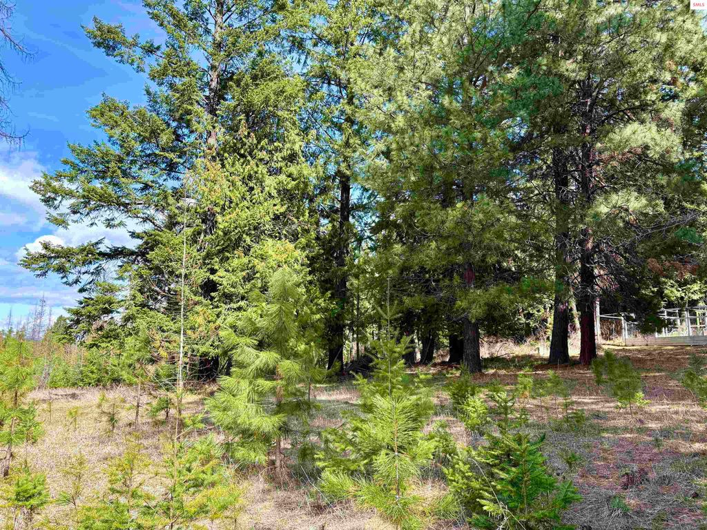 NNA Tannebaum, Bonners Ferry, ID 83805 photo 5