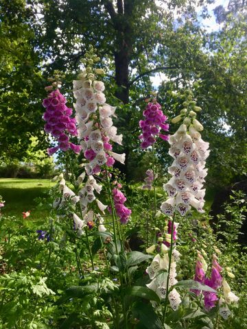 10800 Pickle Barrel Rd, Auburn, CA 95602