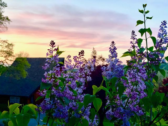 10800 Pickle Barrel Rd, Auburn, CA 95602