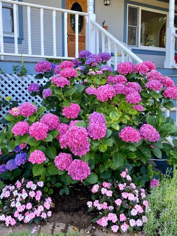 10800 Pickle Barrel Rd, Auburn, CA 95602