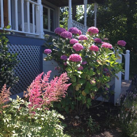 10800 Pickle Barrel Rd, Auburn, CA 95602