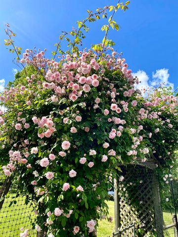 10800 Pickle Barrel Rd, Auburn, CA 95602