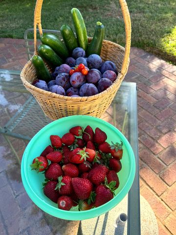 10800 Pickle Barrel Rd, Auburn, CA 95602