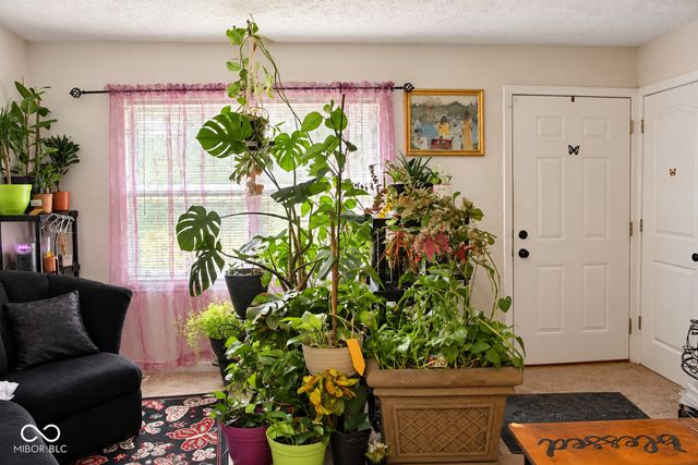 9944 Catalina Drive, Indianapolis, IN 46235