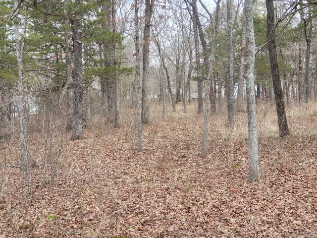 Lot 33 Eagles Point Lane, Shell Knob, MO 65747
