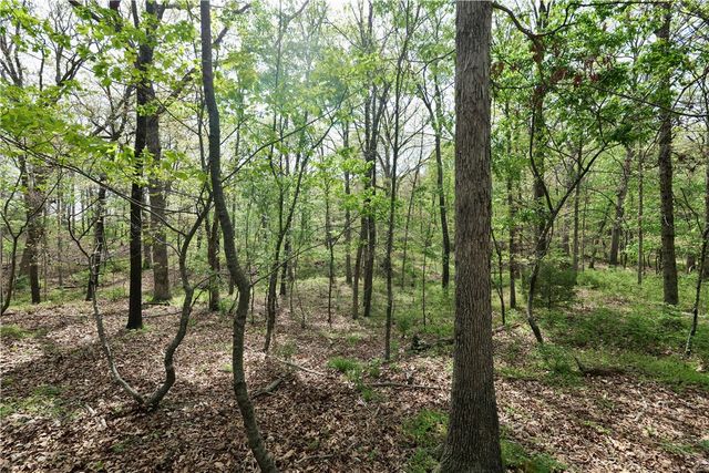 TBD Hummingbird Road, Gravette, AR 72736